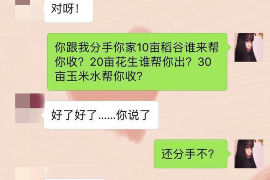 乌尔禾专业讨债公司有哪些核心服务？